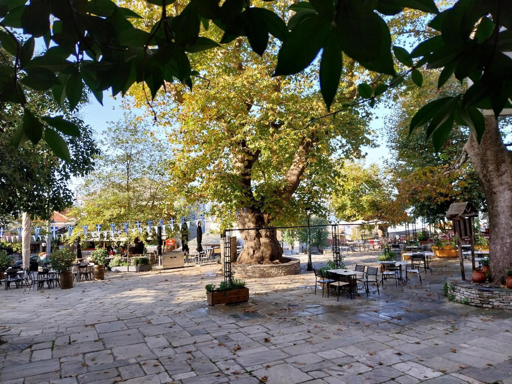 Marousos Central Guesthouse 포르테리아 외부 사진